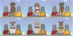 DGD29481 Treat Seasonings Dog Salt & Pepper Shaker Set 6 asst